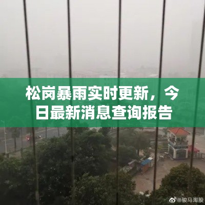 松岗暴雨实时更新,今日最新消息查询报告