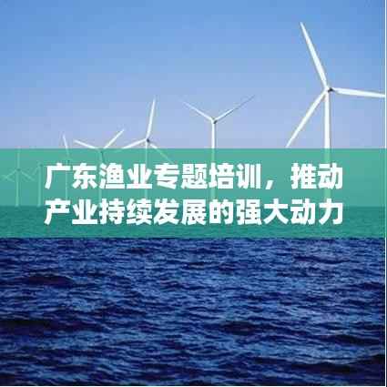 广东渔业专题培训,推动产业持续发展的强大动力之源