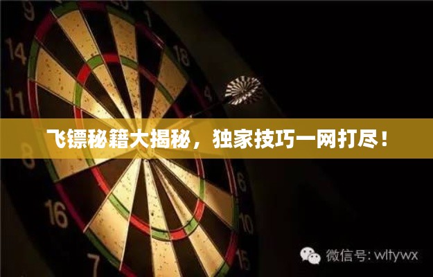 飞镖秘籍大揭秘,独家技巧一网打尽!