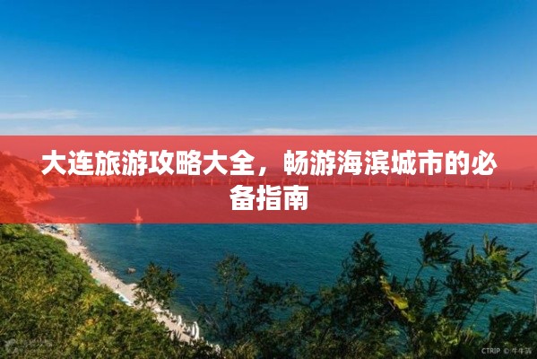 大连旅游攻略大全,畅游海滨城市的必备指南