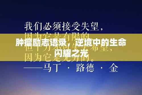肿瘤励志语录,逆境中的生命闪耀之光