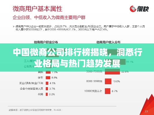 中国微商公司排行榜揭晓,洞悉行业格局与热门趋势发展