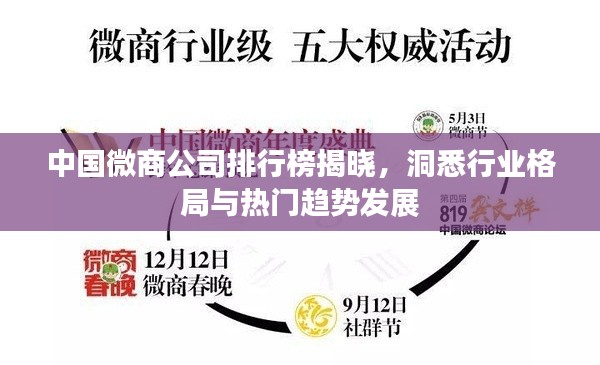 中国微商公司排行榜揭晓,洞悉行业格局与热门趋势发展