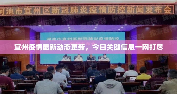 宜州疫情最新动态更新,今日关键信息一网打尽