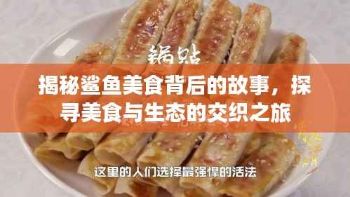 揭秘鲨鱼美食背后的故事,探寻美食与生态的交织之旅