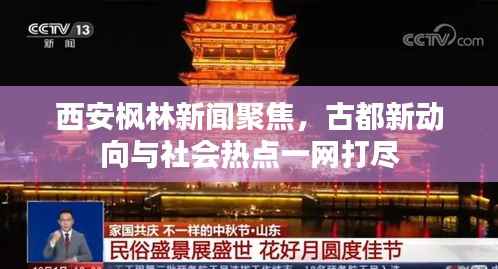 西安枫林新闻聚焦,古都新动向与社会热点一网打尽