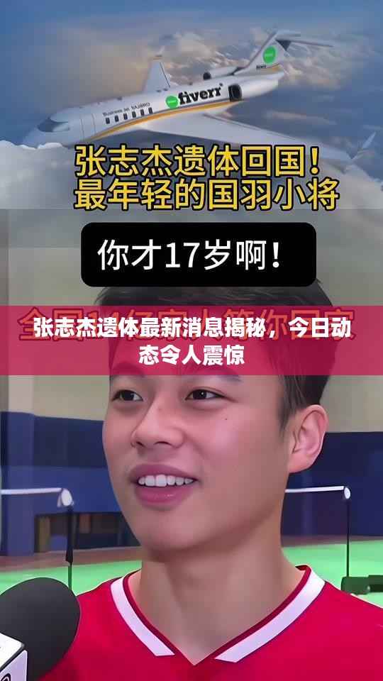 张志杰遗体最新消息揭秘,今日动态令人震惊