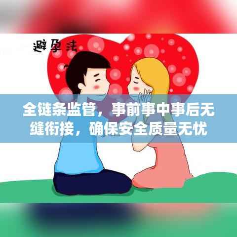 全链条监管,事前事中事后无缝衔接,确保安全质量无忧