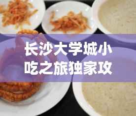 长沙大学城小吃之旅独家攻略,带你领略美食盛宴!