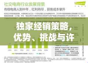 独家经销策略,优势、挑战与许可之路