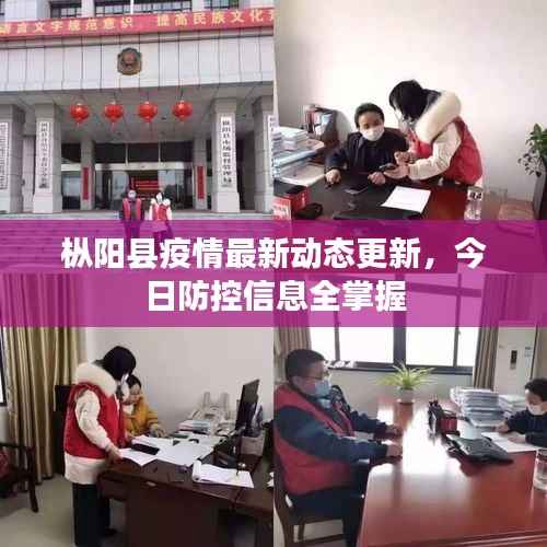 枞阳县疫情最新动态更新,今日防控信息全掌握