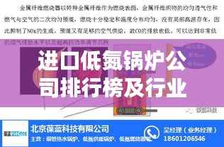进口低氮锅炉公司排行榜及行业影响力解析