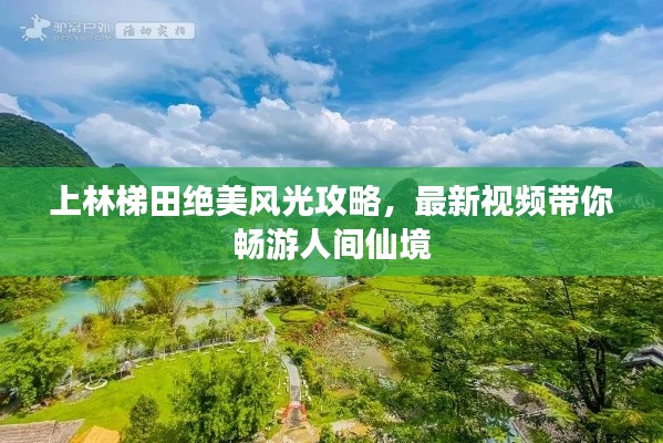 上林梯田绝美风光攻略,最新视频带你畅游人间仙境