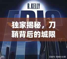 独家揭秘,刀鞘背后的城限秘密与独特价值探讨