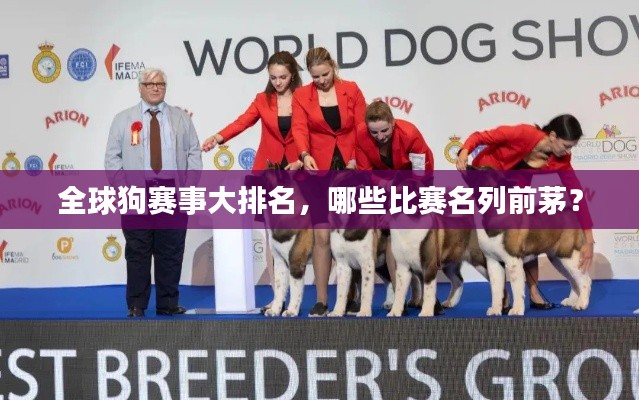 全球狗赛事大排名,哪些比赛名列前茅?