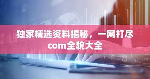 独家精选资料揭秘,一网打尽com全貌大全