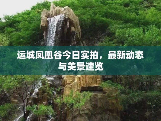 运城凤凰谷今日实拍,最新动态与美景速览