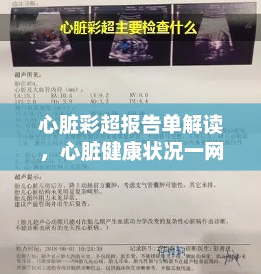 心脏彩超报告单解读,心脏健康状况一网打尽,百度助你轻松了解!
