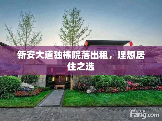 新安大道独栋院落出租,理想居住之选