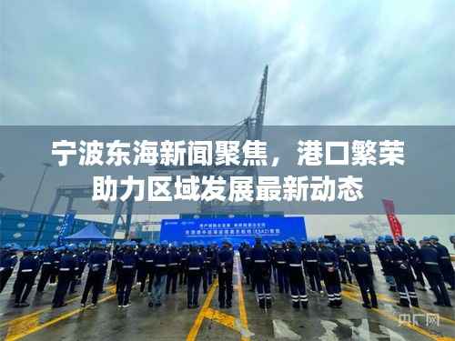 宁波东海新闻聚焦,港口繁荣助力区域发展最新动态