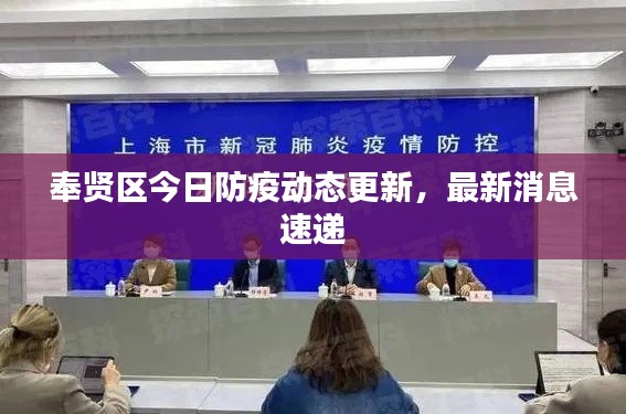奉贤区今日防疫动态更新,最新消息速递