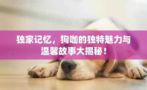 独家记忆,狗咖的独特魅力与温馨故事大揭秘!