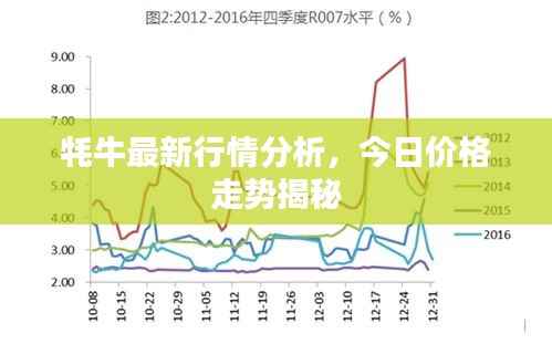牦牛最新行情分析,今日价格走势揭秘
