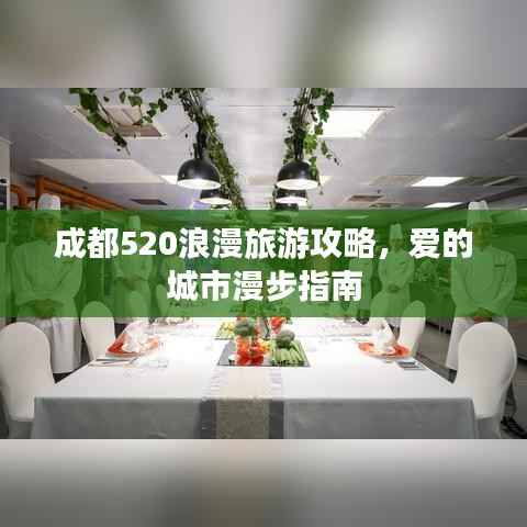 成都520浪漫旅游攻略,爱的城市漫步指南