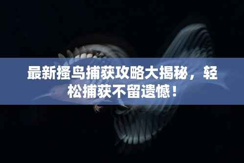 最新搔鸟捕获攻略大揭秘,轻松捕获不留遗憾!