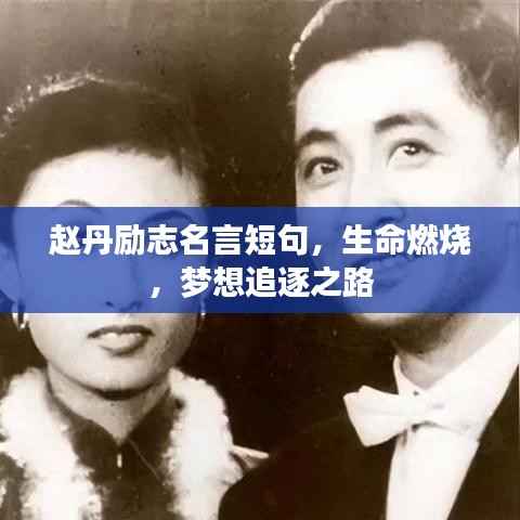 赵丹励志名言短句,生命燃烧,梦想追逐之路