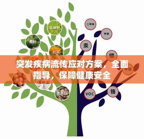 突发疾病流传应对方案,全面指导,保障健康安全