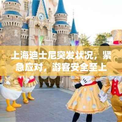 上海迪士尼突发状况,紧急应对,游客安全至上保障行动
