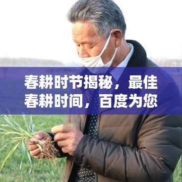 春耕时节揭秘,最佳春耕时间,百度为您解答!
