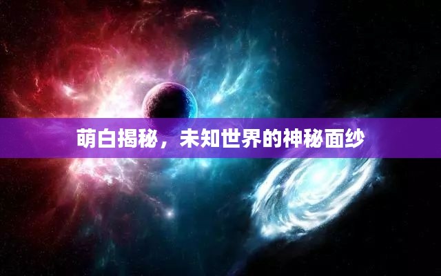 萌白揭秘,未知世界的神秘面纱